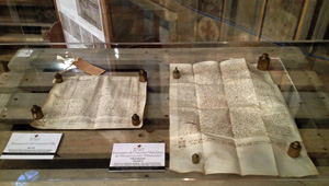 teca9